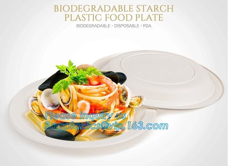 Disposable Plastic food delivery box Printing Sushi Tray For Food Packaging,HIPS Material Disposable Black Plastic Food