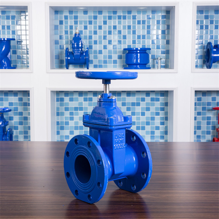 DN100 F4 Soft Seal Gate Valve Z45X Copper Gland Resilient Seat Gate Valve