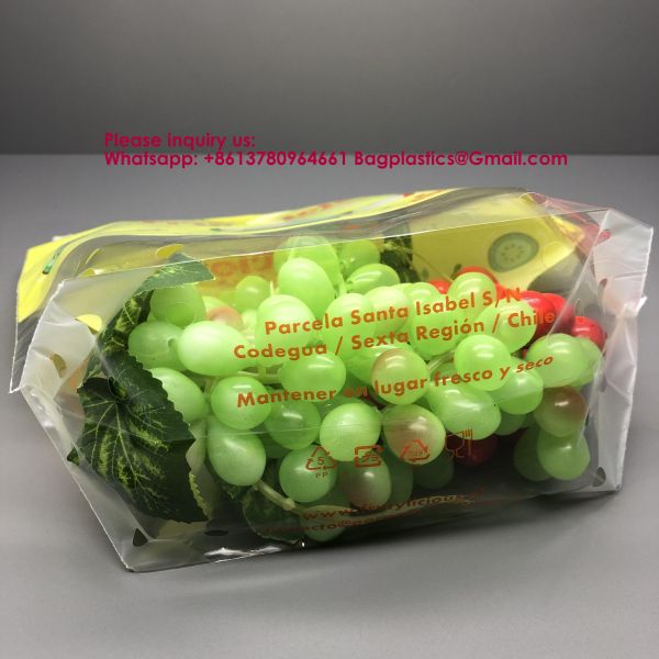 Market Keep Fresh Plastic Packing Bag For Fruits Pluots Apple Grape Banana Fresh Fruit Package Bag Vegetable Packaging Reusable Zipper Fruit Packaging