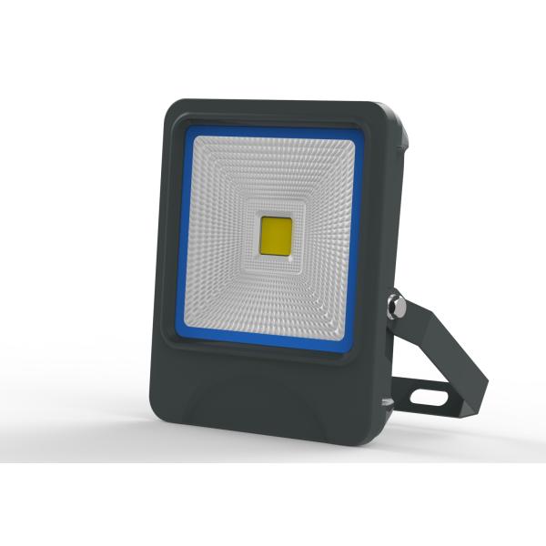 30W COB LED Flood Light Lamp IP66 SAA CE TUV UL Meanwell Bridgelux led