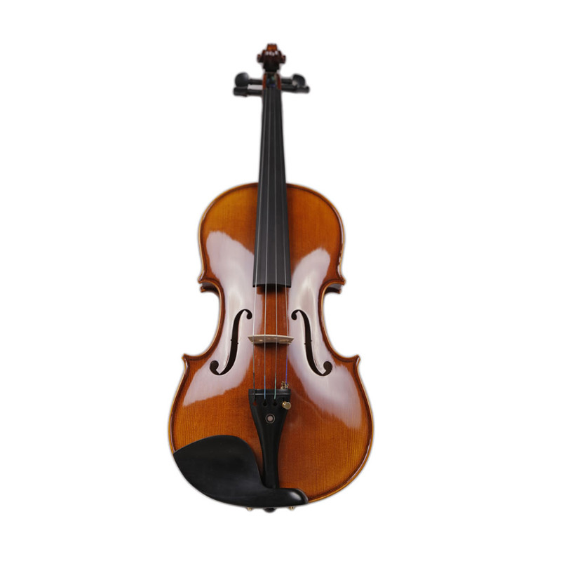 Ebony Parts Solid Wood 4/4 Electric Violin with Case (VE008) Muscial Instruments Satin Finish Student Flamed Maple Wood