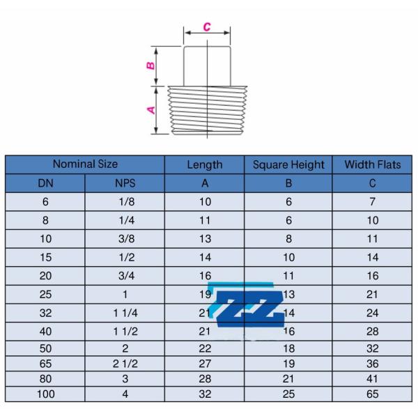 Square Head Stainless Steel Threaded Pipe Fittings Threaded Plug 304 BSP ASME B16.11