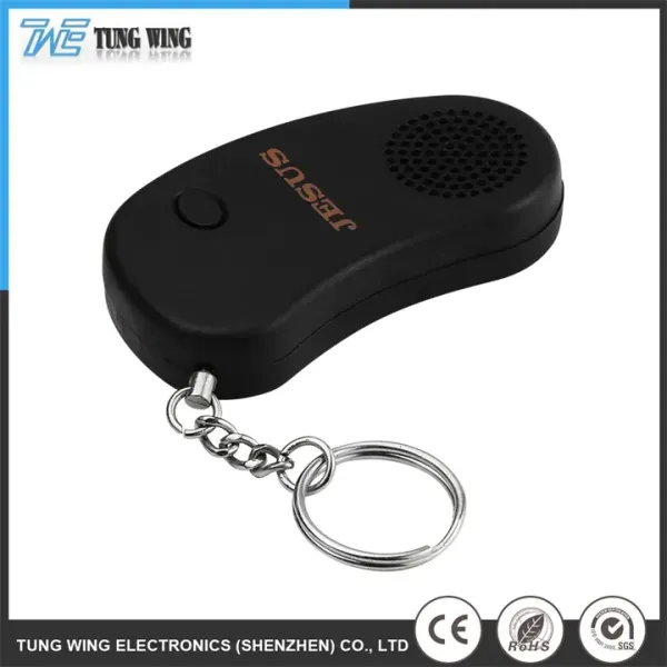 Hard Cover Customized Size Remote Control Sound Keychain Educational Recordable Sound Toy