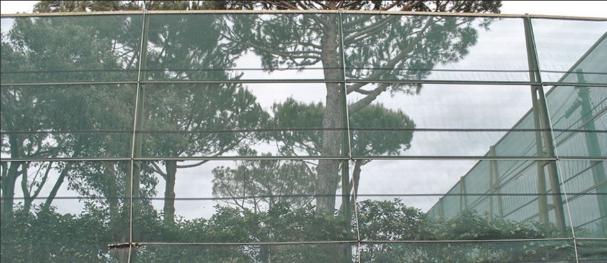 HDPE Agriculture Shade Windbreak Netting , 70gsm - 110gsm Weight