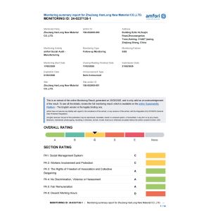 Zhejiang Hanlong New Material Co., Ltd. Certifications