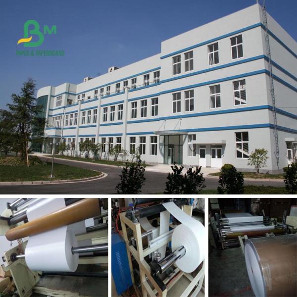 120gsm 60gsm White Offset Paper Bond Woodfree Paper Roll For Hardcover Book / Textbook