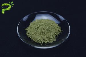 China Matcha Green Tea Powder From Camellia Sinensis Leaves on sale