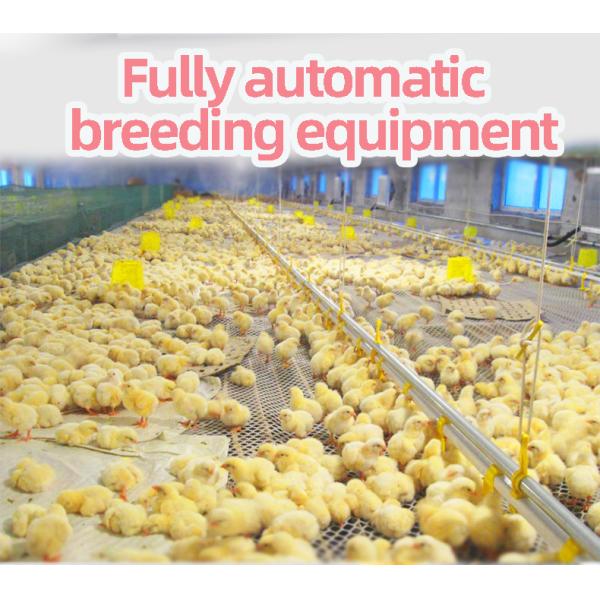 Broiler Automatic Pan Feeding System 380V Automatic Pan Feeder