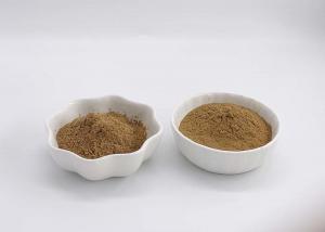 Quality EP7.0 Pharma Grade Ginkgo Biloba Extract Powder wholesale