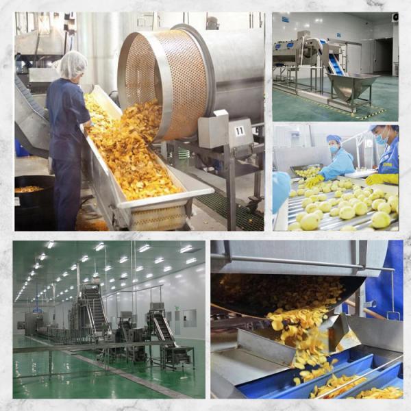 Potato Chips Frozen French Fries Making Machine 2000kg/H Electric Heating