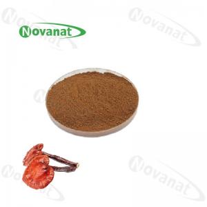 Quality Allergen Free Ganoderma Lucidum Extract Powder / Reishi Mushroom Extract 10%-50% Polysaccharides wholesale