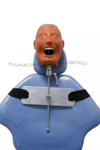 Quality Dental Simulator Manikin Phantom Head Chair Mount Typodont Model wholesale
