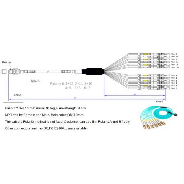 12 Fibers MPO to LC OM4 Fiber Optic MPO-LC 2.0mm Straight harness Cables