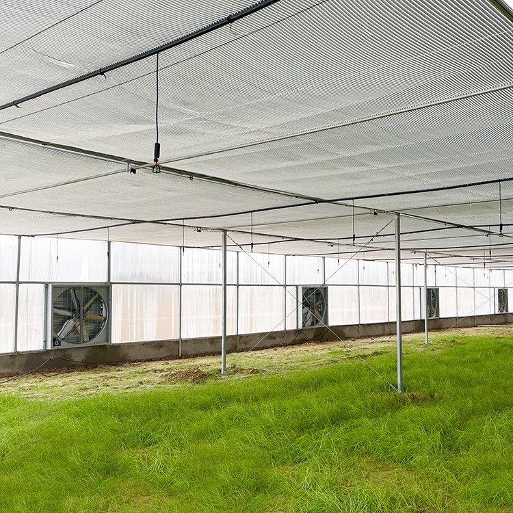 Hot Sale Factory Direct Sales Greenhouse Pipe Galvanized Steel Pipe For Multi Span Greenhouse