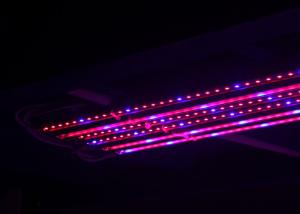 China Waterproof Led Grow Bar , Led Grow Lamps Integrated Structure Red And Blue Spectrum on sale