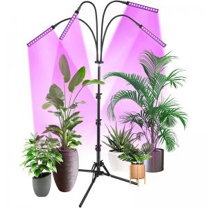 China FCC IP44 RED Blue Floor LED Plant Lamp Floor Grow Lamp For Indoor Plants on sale