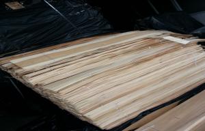 Quality Natural Sliced Cut Discolored Birch Wood Veneers Sheet For Furniture wholesale
