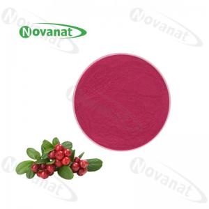 China Cranberry Extract Powder Herbal Extract Powder 1%-25% Anthocyanins / Anti-Aging on sale