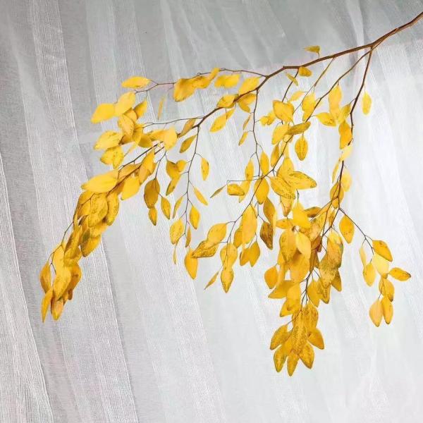 Wholesale preserved foliages preserved eucalyptus dry leaves gift rose