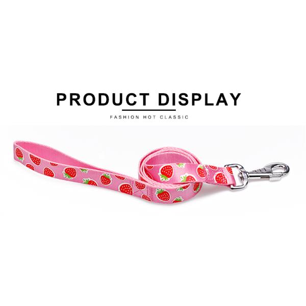 OEM training dog leash Silk Screen Pattern dog training lead