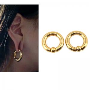 China BODY PUNK Piercing Earring Ring Ear Stretcher Expander Weights BCR Gold Captive Ball Closure Nose Septum Ring 2.5mm 4mm on sale