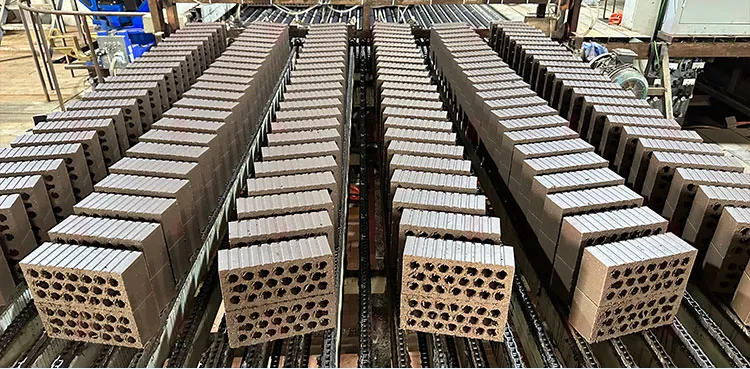 Brick Making Machinery Clay Fired Brick Chain-Board Rapid Drying Equipment