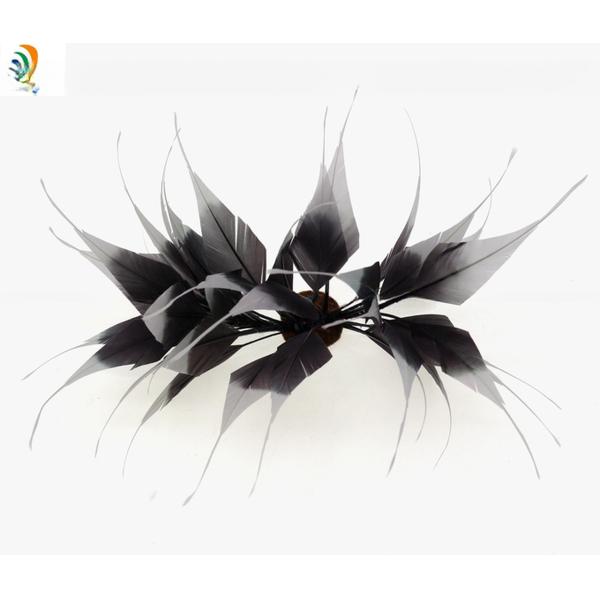 Millinery Stripped Goose Feather Mounts , Dried Flowers Feathers 10x15cm