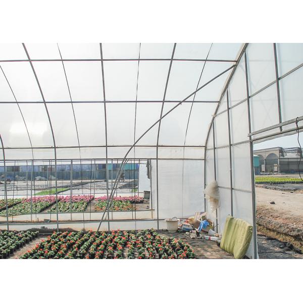 Small Scale Farming Single Span Greenhouse Customize Plastic Film Greenhouse
