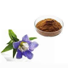 Quality Scabra Gentian Root Extract Powder 40% Gentiopicroside Functional Food wholesale