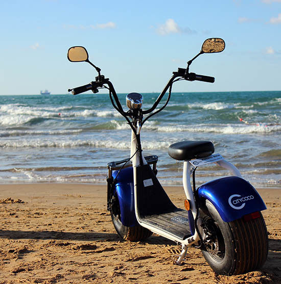 EcoRider Smart Cool 18inch 60v 1500W Harley 2 Wheel Electric Scooter With Seamless Steel Tube Frame and EEC certificate
