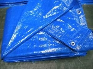 Quality 50gsm PE Tarpaulin Sheet Price Poly Tarpaulin Manufactuer in Qingdao wholesale
