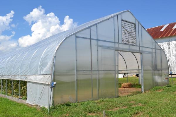 Agriculture Mushroom Management Greenhouse Planting Vegetables Fruits Single