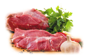 Health Guard Fruit ultrasonic food cleaner , ultrasonic ozone vegetable cleaner