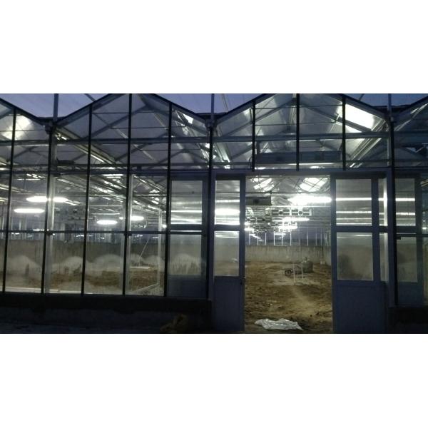 High-Efficiency Agricultural Greenhouse Production Greenhouse With Plastic Film