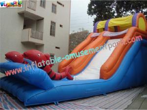 China Kids Outdoor Inflatable Water Slides Games with PVC tarpaulin, Reinforced seams for Rental on sale