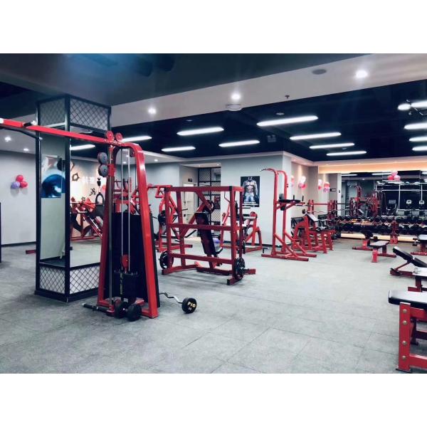 Commercial Gym Steel Pin-Loaded Chest and Pec Fly Machine High-End Pin Load Selection Equipment