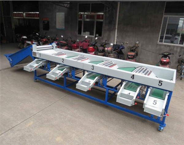 onion sorting machine, onion grading machine, onion sorter, onion grader