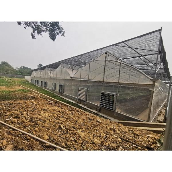Shoulder Height 2.5m Home Hydroponic Greenhouse Customized With Galvanized Steel Pipe