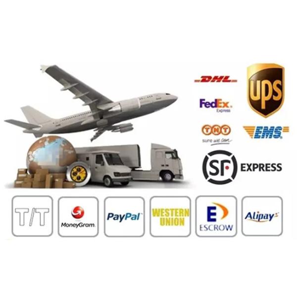 Fishnet Silk Stocking Sexy One-piece Sexy Stockings Silky Flirting Ultra-thin Foot Tights Pantyhose Transparent Y-Z Adult Women