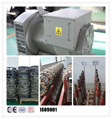 40kw / 50kva Stamford Brushless Exciter Synchronous Generator 690V IP22