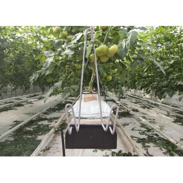 3mm 4mm 16mm 10mm Hollow Galvanized Polycarbonate Greenhouse With Growing System In Turkmenistan