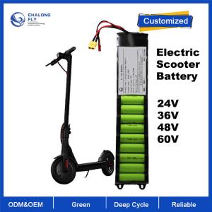 Quality OEM ODM LiFePO4 lithium battery pack Electric Scooter battery 24V 36V 48V for Electric Bicycles/Scooter wholesale