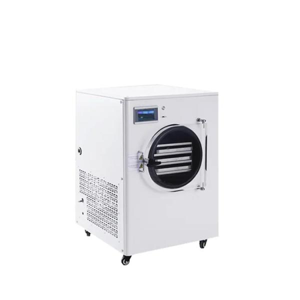 fruits drying snack machine freeze dryer lyophilizer freeze drying equipment
