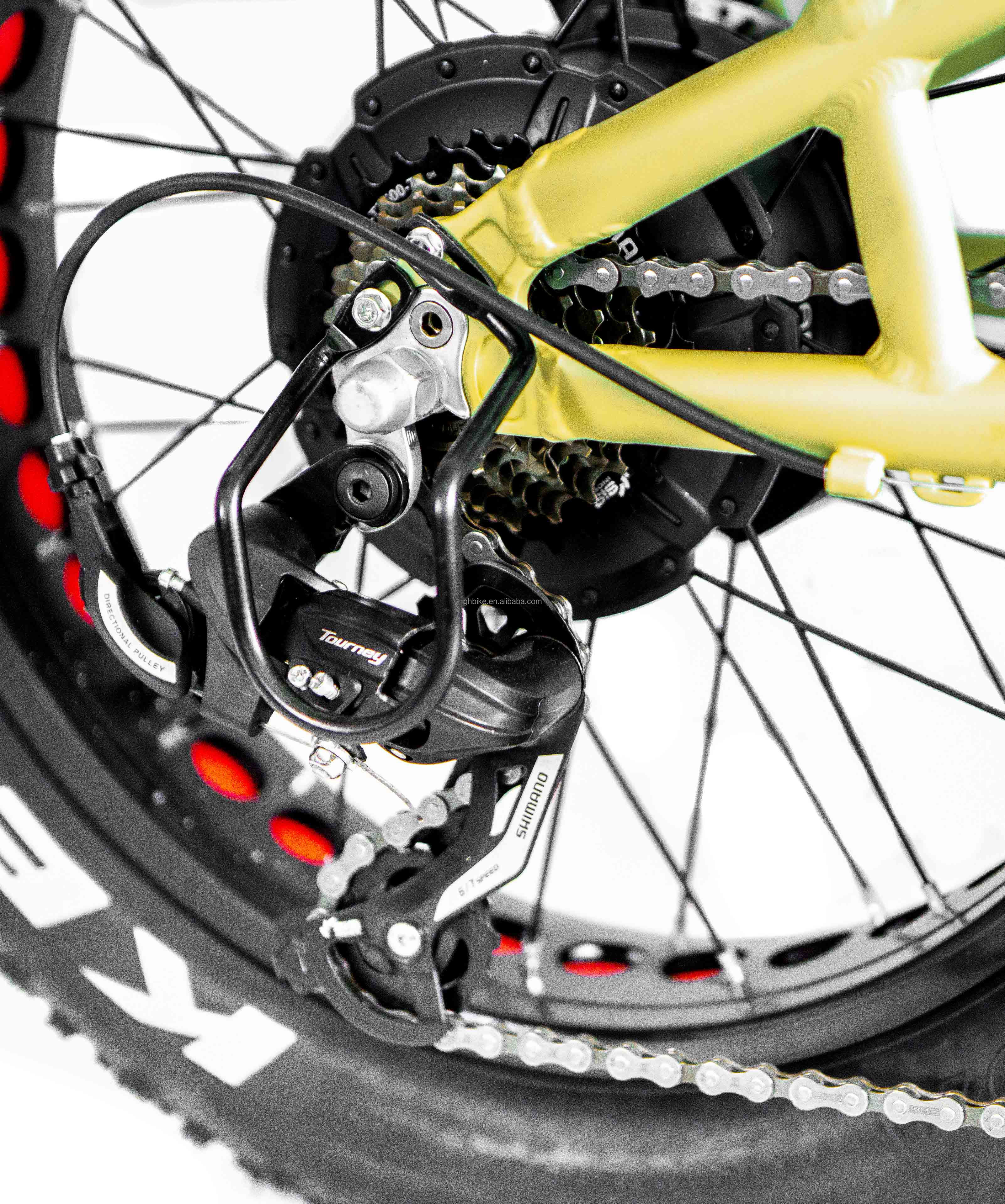 48V Disc Brake Dual Batteries Fat Snow Big Tire Electric Cargo Bicycles for Family 2