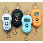 Over Load Indication Hanging Digital Weighing Scale With ABS Plastic Material
