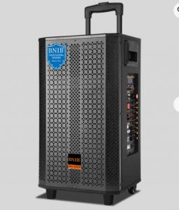 China Big Power Wireless Outdoor Portable Speaker 1000W Active Karaoke Trolley Speaker Box on sale
