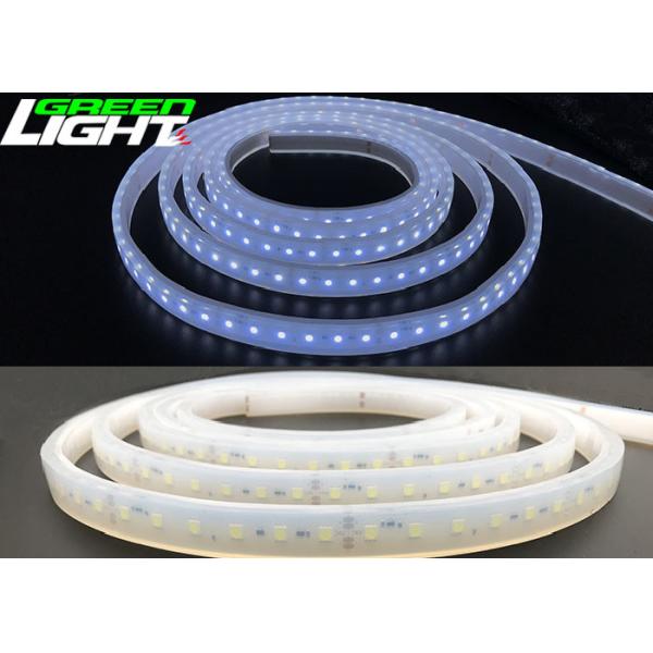 16W/M 2362Lum LED Flexible Strip Lights SMD5050 110-230VAC