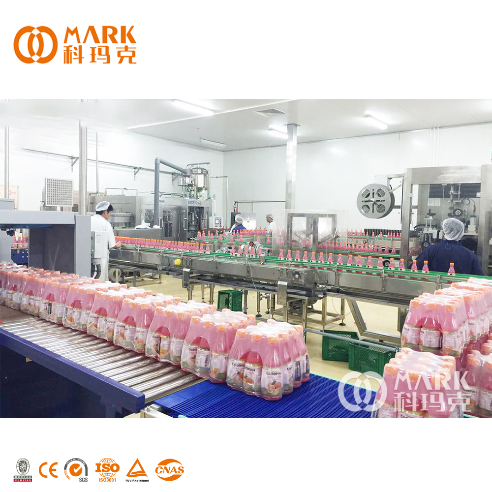 500ml 750ml 1 Liter Automatic Pet Plastic Bottle Filling Machine High Speed For Tea Fruit / Juice