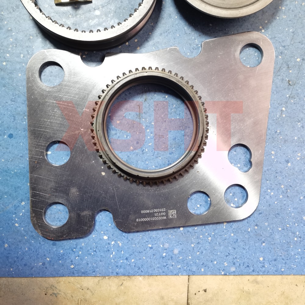 HOWO Truck Low Speed Gear Hub Assembly Wg2203100024 for Customer Requirements