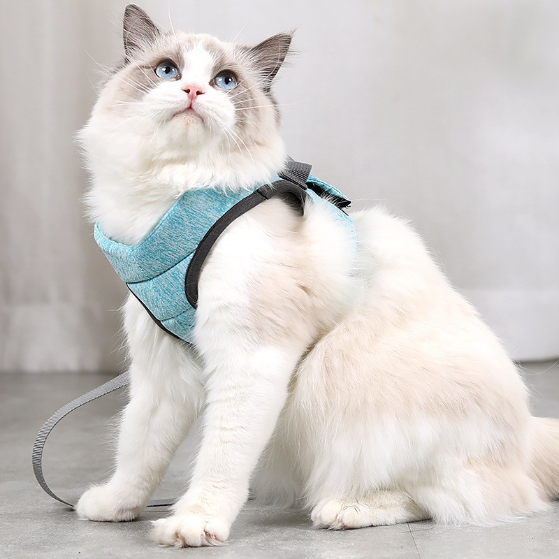 three peaks dog harness